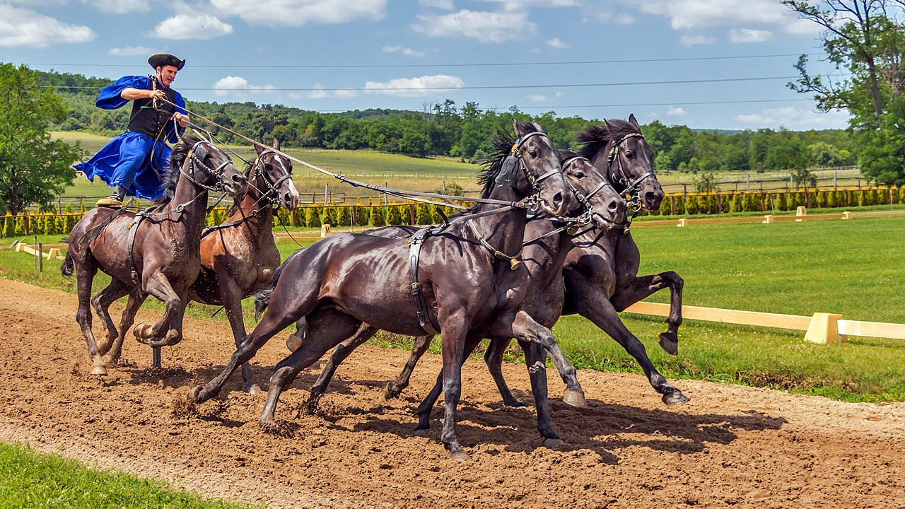 CALENDRIER 2023 GRATUIT | Calendrier à imprimer | Course de chevau